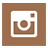 instagram-icon
